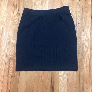 Navy LOFT Skirt